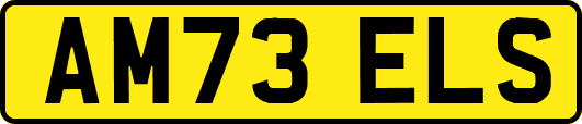 AM73ELS