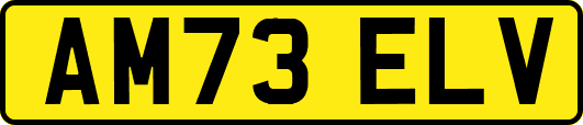 AM73ELV