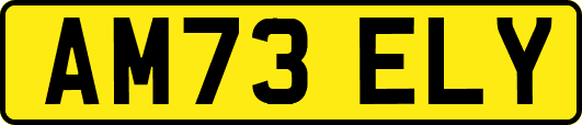 AM73ELY
