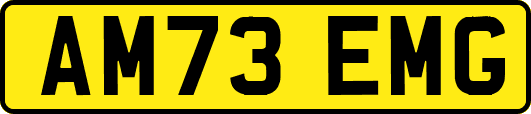 AM73EMG