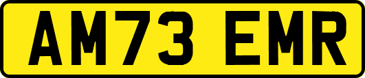 AM73EMR