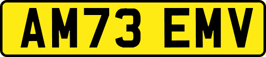 AM73EMV