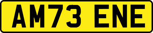 AM73ENE