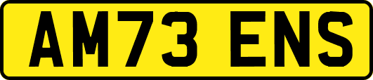 AM73ENS