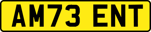 AM73ENT