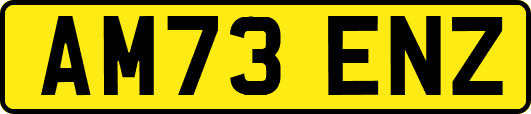 AM73ENZ