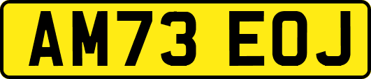 AM73EOJ