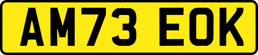 AM73EOK