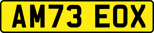 AM73EOX