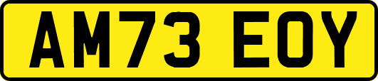 AM73EOY