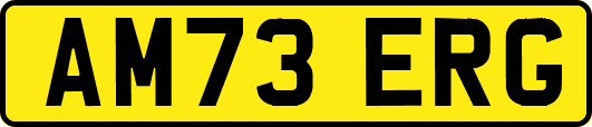 AM73ERG