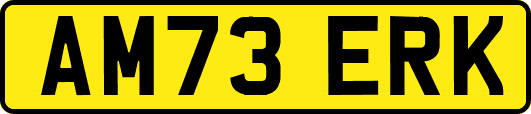 AM73ERK