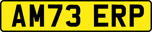 AM73ERP