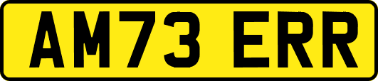 AM73ERR