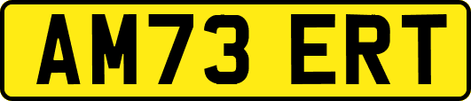 AM73ERT