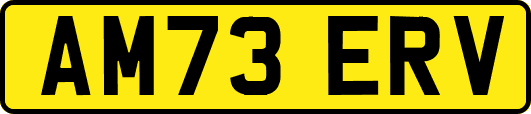 AM73ERV