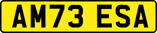 AM73ESA