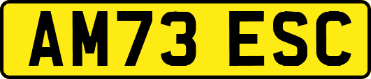 AM73ESC