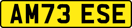 AM73ESE