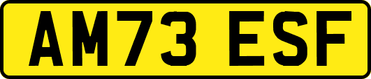 AM73ESF