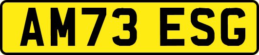 AM73ESG