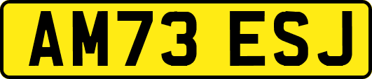 AM73ESJ