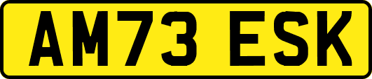 AM73ESK