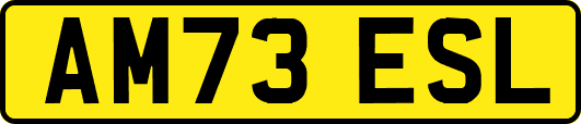 AM73ESL