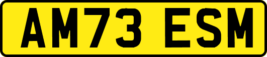AM73ESM