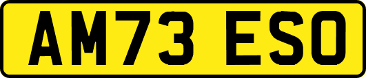 AM73ESO