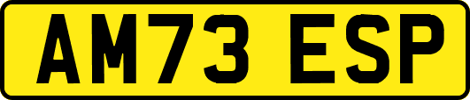 AM73ESP