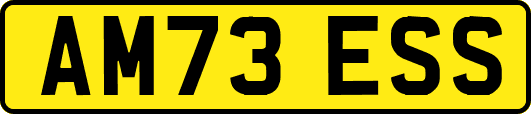 AM73ESS