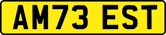 AM73EST