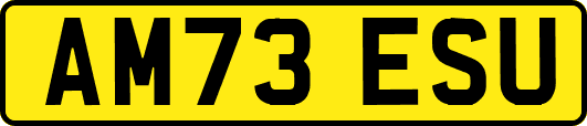 AM73ESU