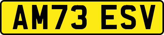 AM73ESV