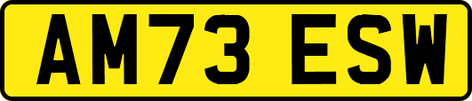 AM73ESW