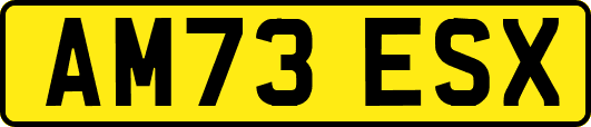 AM73ESX