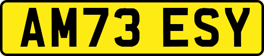 AM73ESY