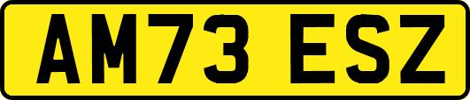 AM73ESZ