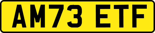 AM73ETF