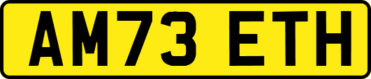 AM73ETH