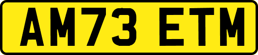 AM73ETM