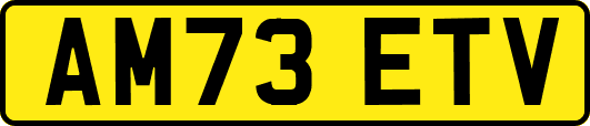 AM73ETV