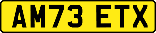 AM73ETX
