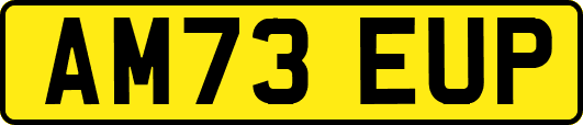 AM73EUP