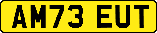 AM73EUT