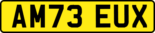 AM73EUX