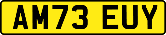 AM73EUY