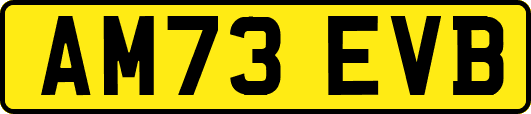 AM73EVB