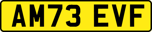 AM73EVF